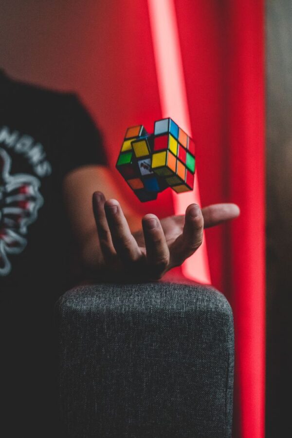 EL MANUAL DEL MENTOR, TEXTO